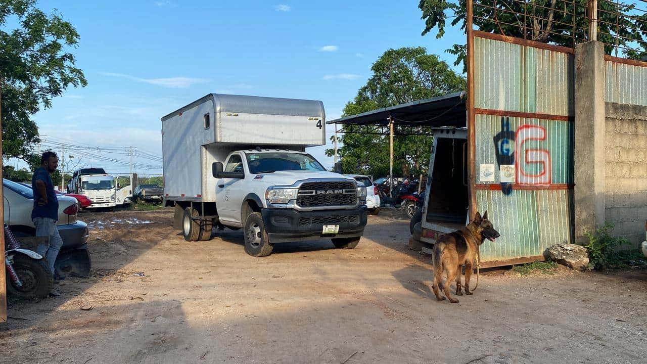 Detienen vehículos del Sistema de identificación individual de ganado en Acayucan | VIDEO