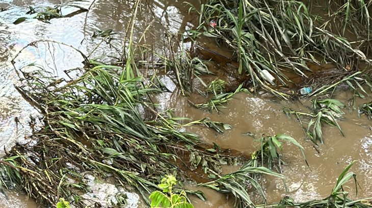 Fuga de hidrocarburo contamina río Cazones; la causa, una ruptura de ducto