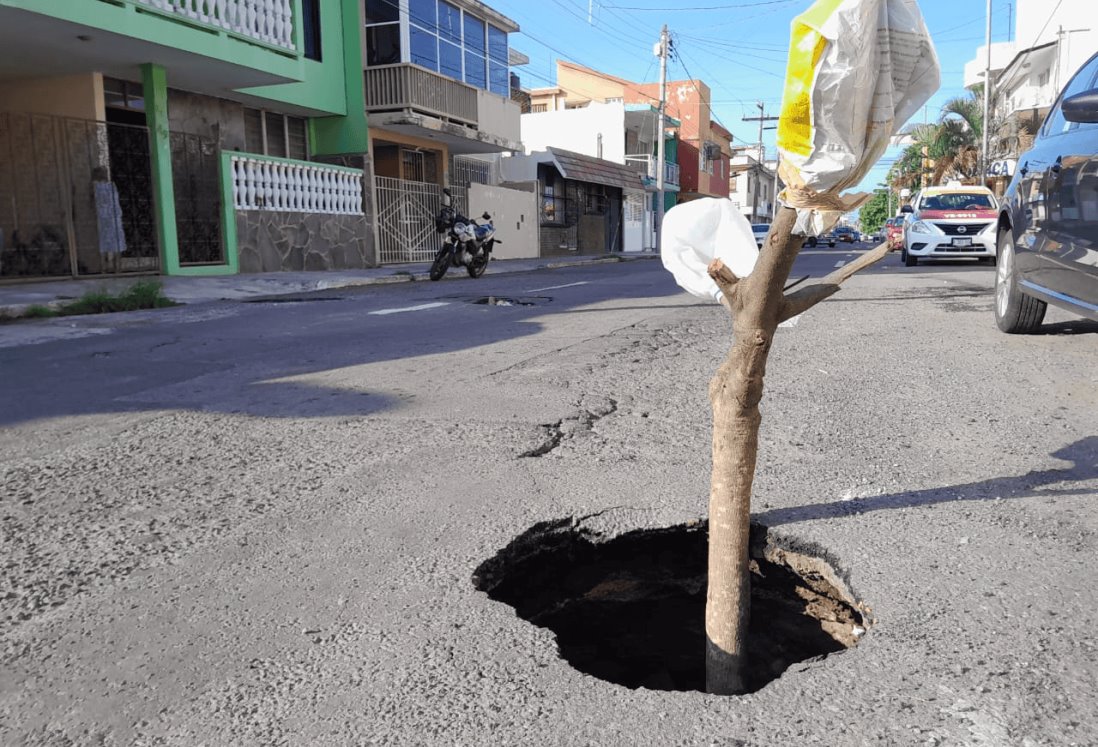 Vecinos del Centro de Veracruz alertan sobre socavones y baches peligrosos en varias calles