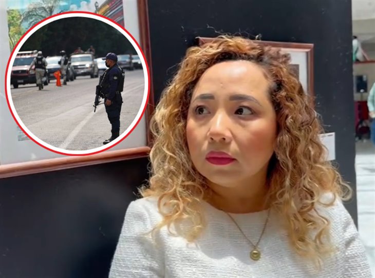 Diputada sufre intento de robo en carretera de Veracruz; Seguridad es un problema pendiente 