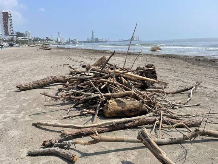 Tras lluvias al día retiran hasta dos toneladas de palizada en playas de Boca del Río