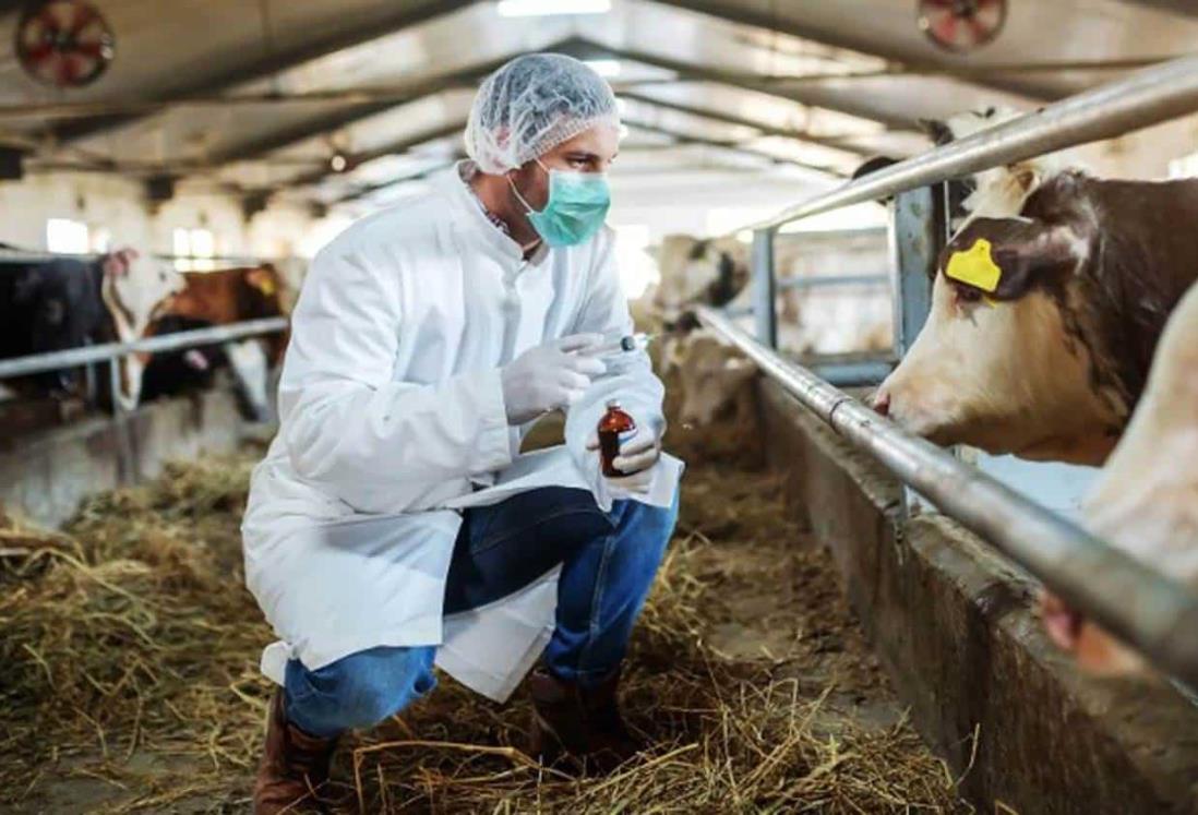 Suman cuatro casos de gripe aviar en humanos detectados en Estados Unidos