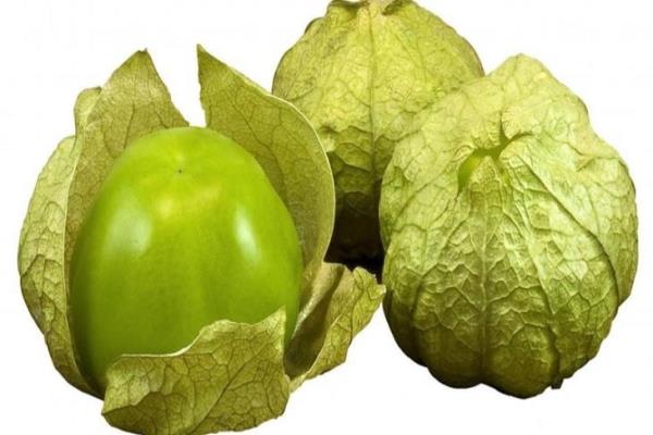 Estos son los beneficios de agregar el tomate verde a tu alimentación