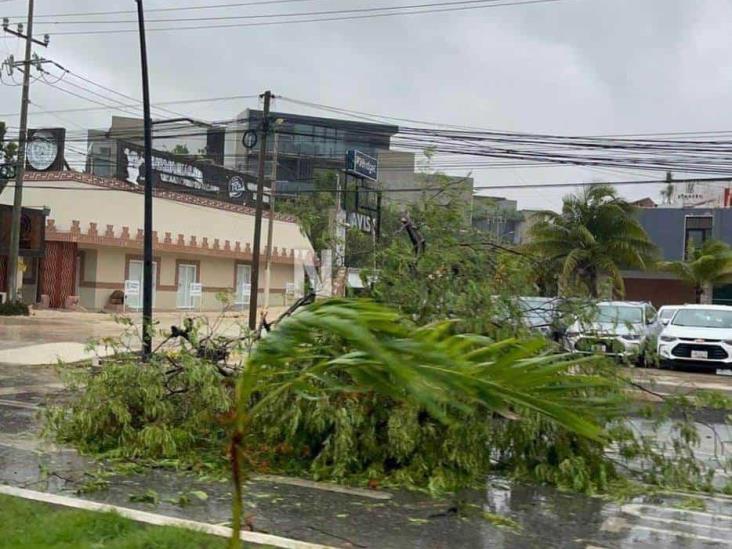 Huracán Beryl: así impactó Quintana Roo durante la madrugada | FOTOS