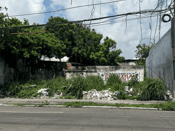Vecinos de la avenida General Prim exigen limpieza de terreno baldío en Veracruz