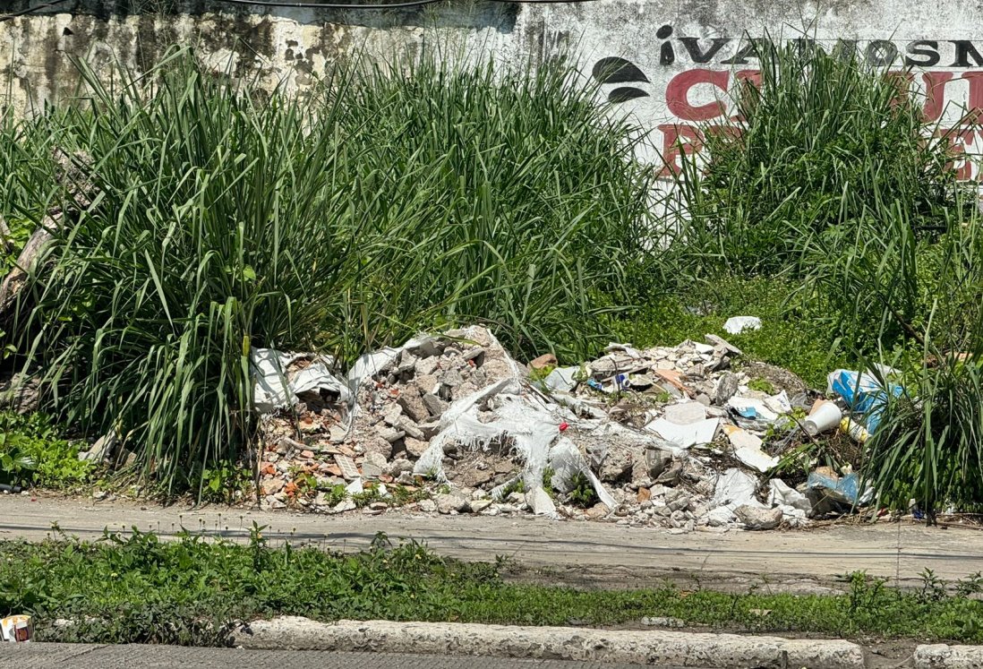 Vecinos de la avenida General Prim exigen limpieza de terreno baldío en Veracruz