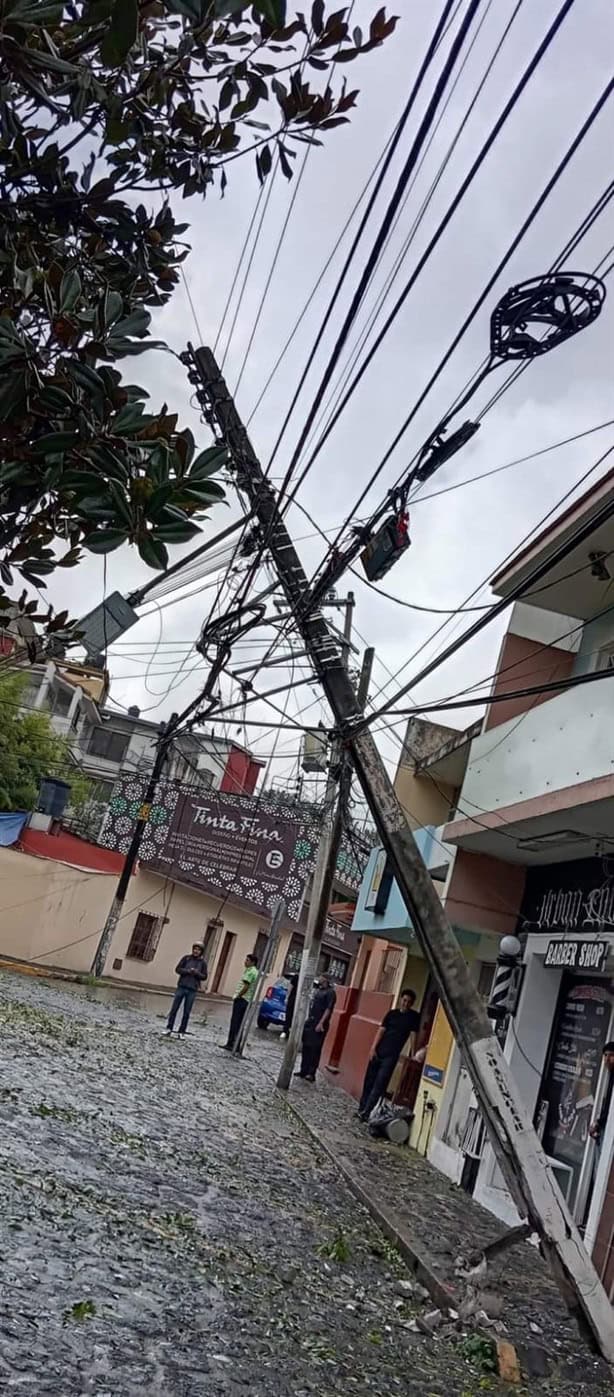 Se cayó árbol en Diego Leño sobre líneas derribando un poste