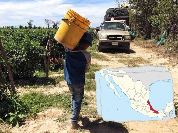 Disminuye el trabajo infantil en Veracruz; persisten casos en zonas rurales