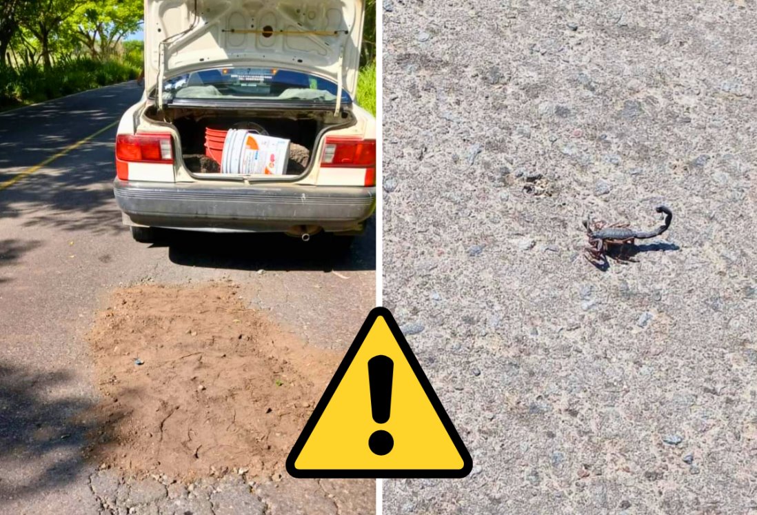 Taxista de Soledad de Doblado es picado por alacrán tras tapar baches por cuenta propia