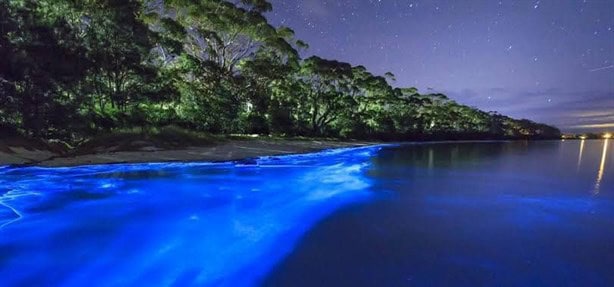 Agua fosforescente: Aquí puedes visitar una laguna con bioluminiscencia en Oaxaca