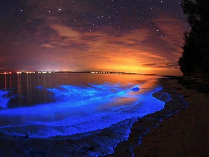 Agua fosforescente: Aquí puedes visitar una laguna con bioluminiscencia en Oaxaca