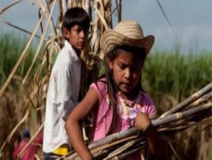 A la baja casos de trabajo infantil en Veracruz