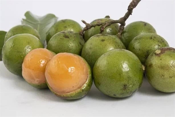Guaya, desconocida fruta tropical que se da en el Sur de Veracruz ¿La conoces?