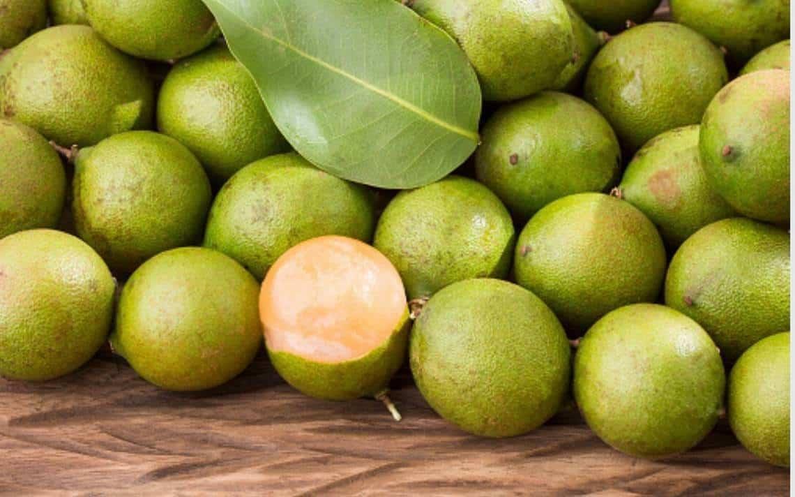 Guaya, desconocida fruta tropical que se da en el Sur de Veracruz ¿La conoces?