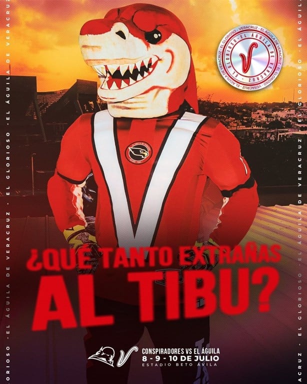 ¿Regresará el Tibu a Veracruz? Por esta razón había un tiburón rojo entre la gente en el Beto Ávila
