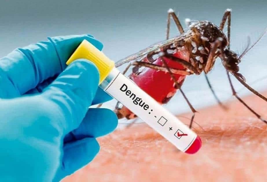 Alerta secretaría de salud de Veracruz sobre estos síntomas; podría ser dengue