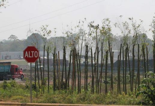 Coque en Jáltipan: impacto devastador en salud y medio ambiente