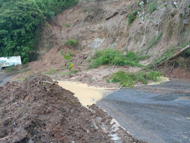 Alud sepulta carretera en Córdoba; la ciudad se mantiene en alerta