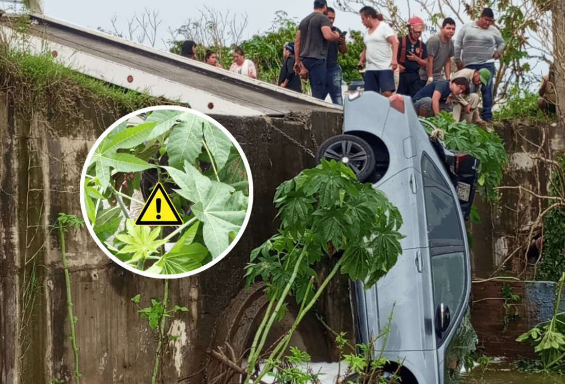 Era sacerdote, conductor del auto que cayó a canal de agua en Lomas 4 tras intensas lluvias en Veracruz