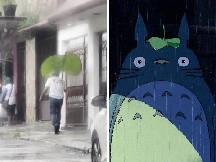 Igualito a Totoro; hombre se hace viral por cubrirse de la lluvia con una hoja (+Video)