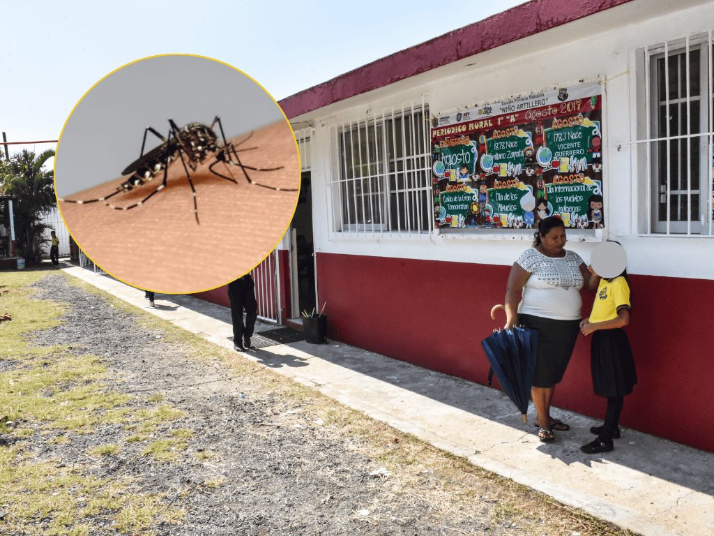 Así previenen la proliferación del dengue en escuelas de Coatzacoalcos