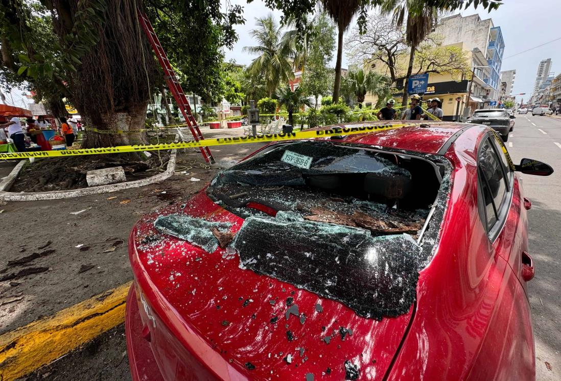 Cae rama de árbol sobre auto y personas en el centro de Veracruz | VIDEO