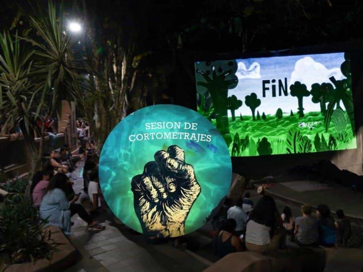 Cortometrajes que impactan y transforman: Cine Libri llega a mercados de Xalapa