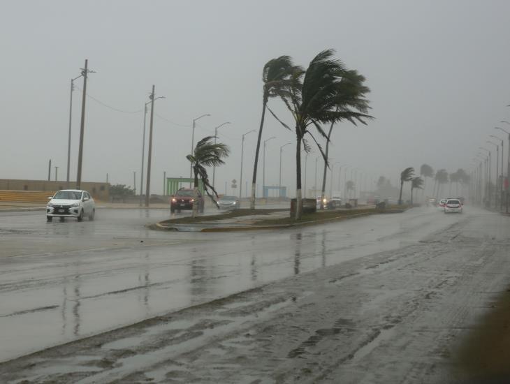 Temporada de huracanes 2024: ¿cuándo llega el próximo y qué tan peligroso será?
