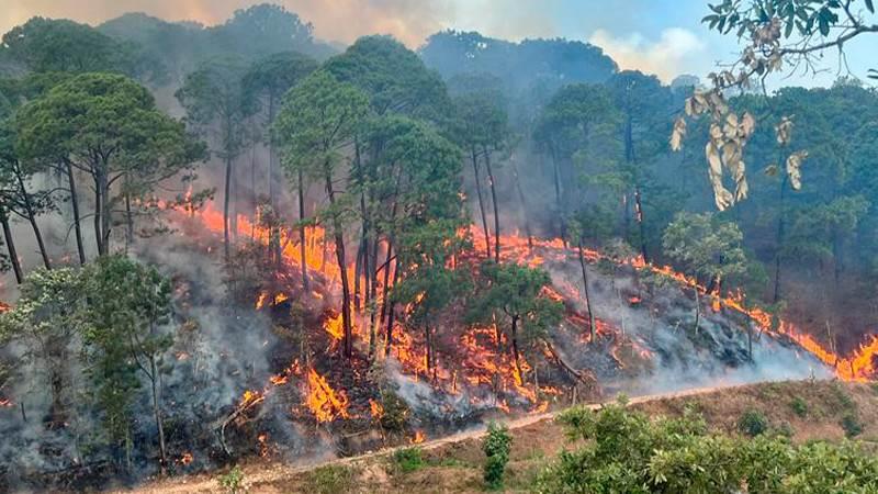 Veracruz, entre los estados más afectados por incendios forestales