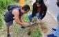En Nanchital ponen en marcha acciones de reforestación