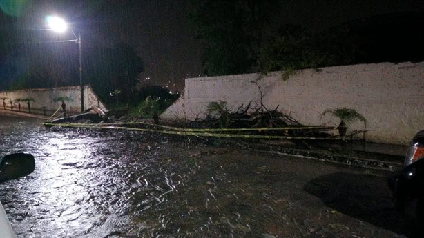 Intensa lluvia deja árboles caídos y cortes de energía en zona centro de Veracruz