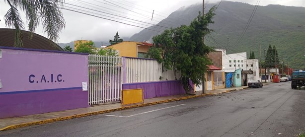 Intensa lluvia deja árboles caídos y cortes de energía en zona centro de Veracruz