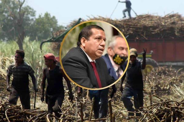 Seguro Agrícola en Veracruz aún no se activa en 2024, confirma Sedarpa