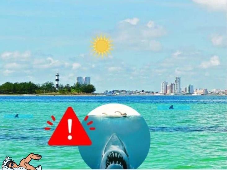 Ataques de tiburones en Veracruz: mitos, miedos y mordidas reales...