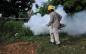 Ante lluvias, intensifican acciones contra el dengue en Coatzacoalcos