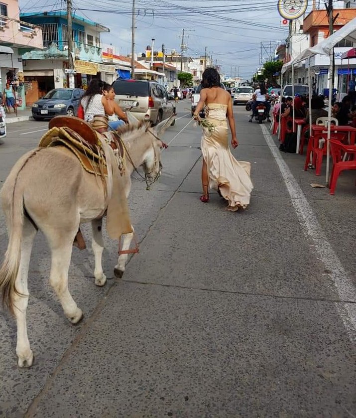 ¡Increíble! Burro impacta a moto en Alvarado