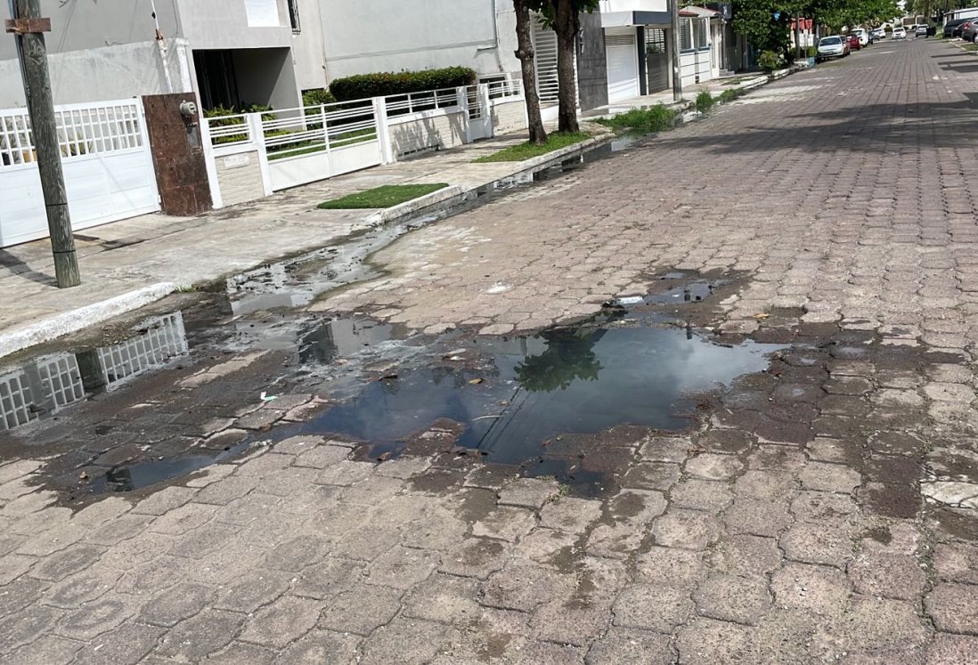 Vecinos de la colonia Petrolera en Boca del Río exigen solución a aguas residuales