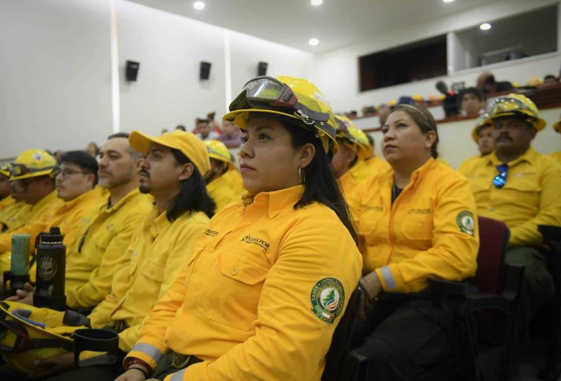 Incendios forestales consumieron casi 15 mil hectáreas en Veracruz: Conafor