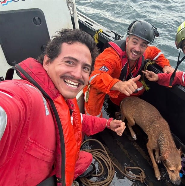 Perrito naufragaba en el mar a 4 millas de Coatzacoalcos; así fue el emotivo rescate | FOTOS