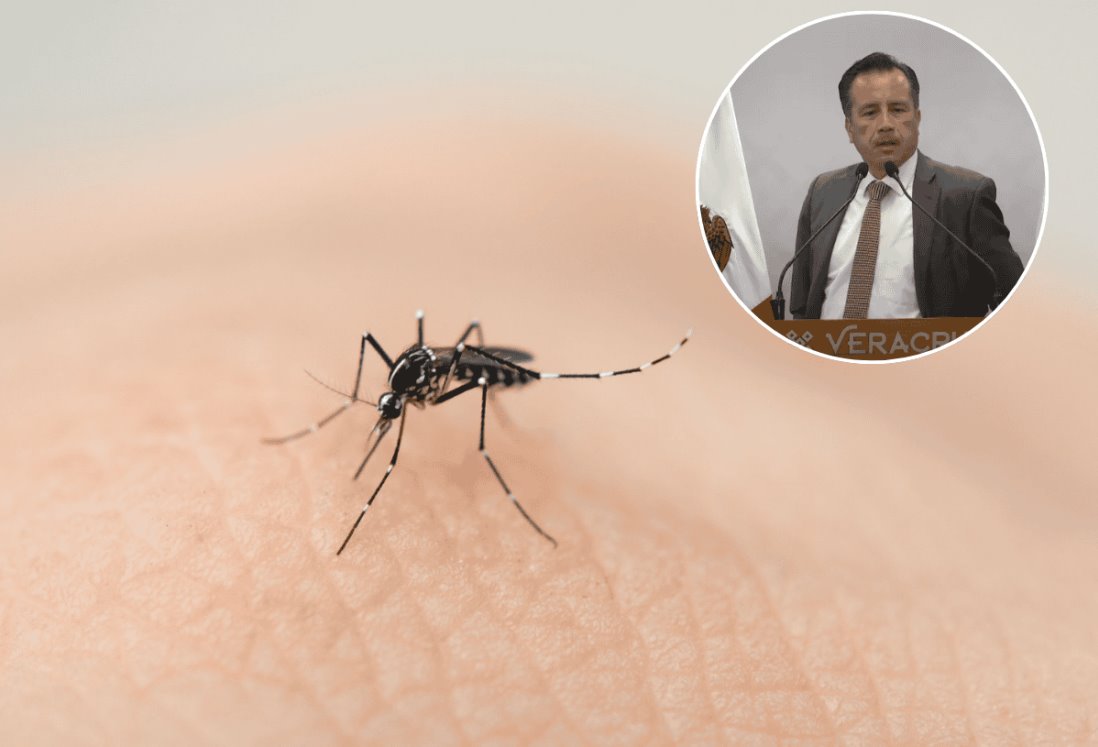 Dengue es más preocupante en Veracruz que el covid: Cuitláhuac García