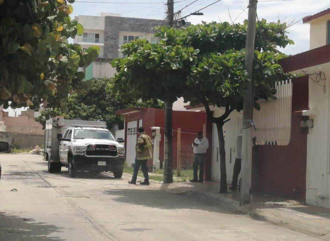 Bomberos controlan peligroso panal de abejas en la colonia Paraíso de Coatzacoalcos | VIDEO