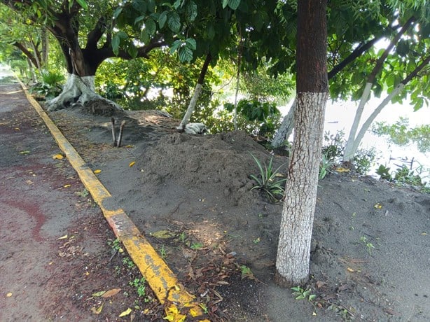 Laguna de Lagartos en Veracruz baja nuevamente su nivel de agua