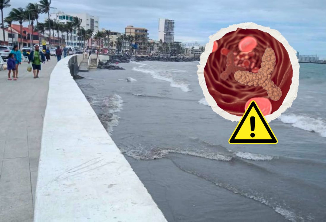 10 playas de Veracruz dentro de las 18 en México con altos niveles de bacterias fecales, según Cofepris