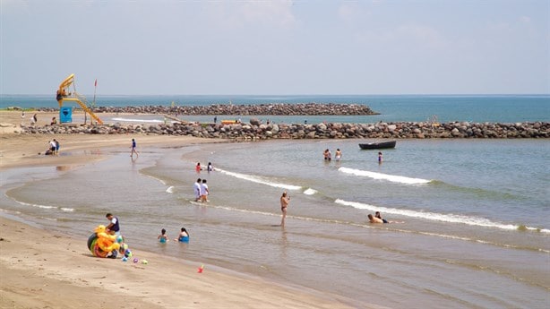10 playas de Veracruz dentro de las 18 en México con altos niveles de bacterias fecales, según Cofepris