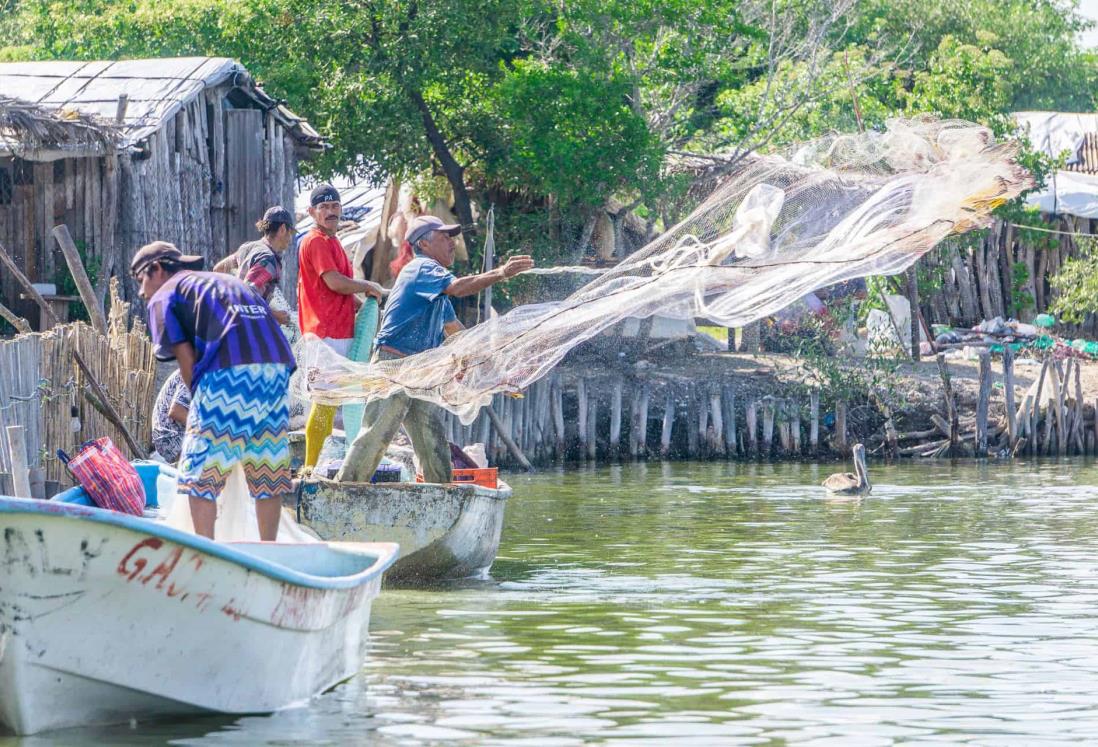 Pescadores logran capturar animales que cuestan barato por las lluvias en Veracruz