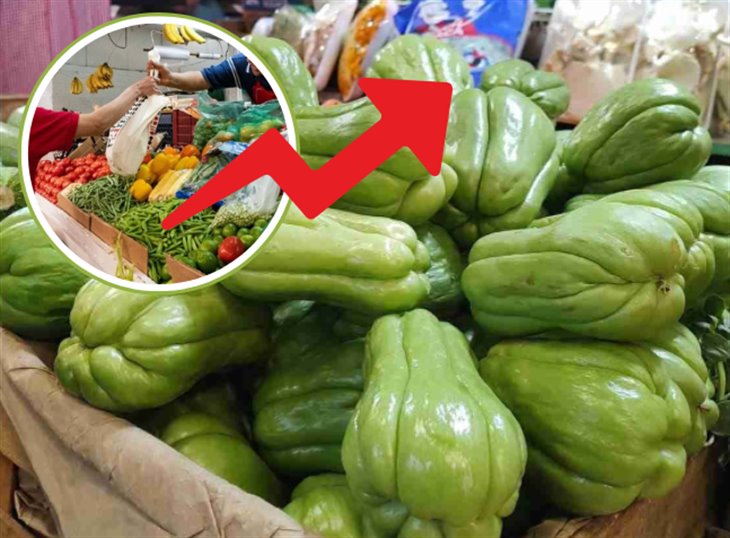 ¿No te alcanza?; precio del chayote repunta a más de 100 pesos en Veracruz 