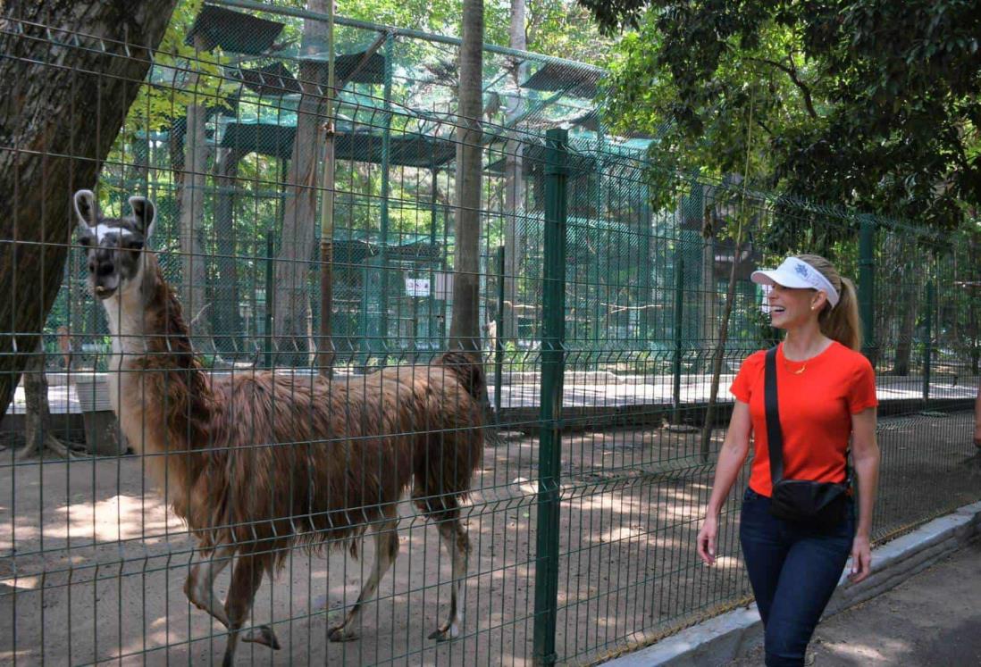 Promueve Paty Lobeira actividades recreativas y educativas en el Parque Zoológico Miguel Ángel de Quevedo