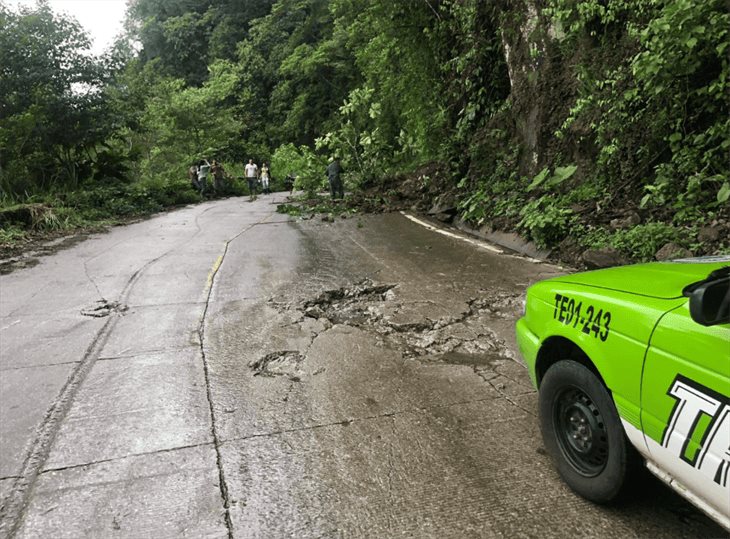 Fuertes lluvias causan deslave en la carretera Misantla-Xalapa