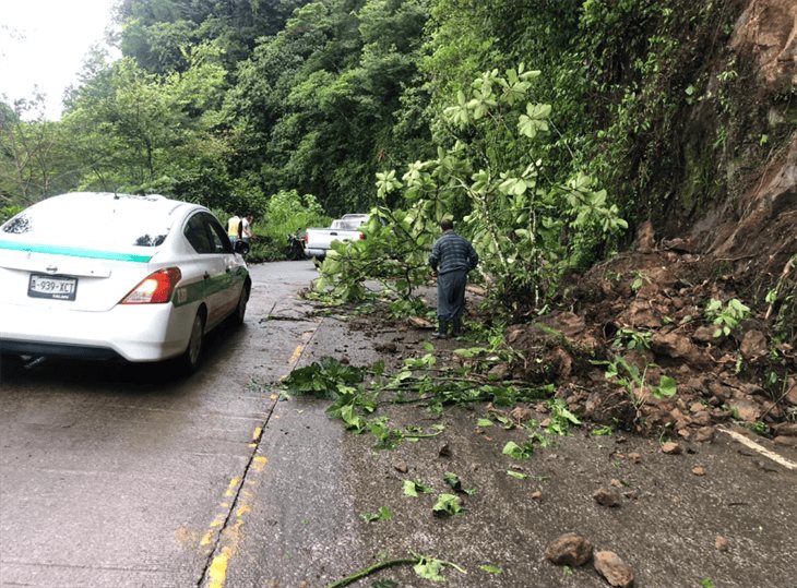 Fuertes lluvias causan deslave en la carretera Misantla-Xalapa