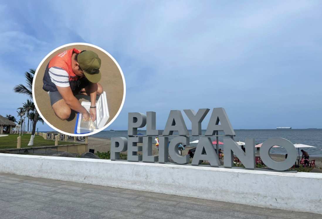 Repetirán muestreo en playas de Veracruz; Sesver reconoce error